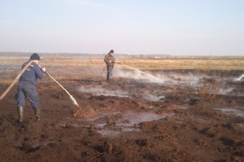 Пожежа на Волині: горить понад 2,5 гектарів торфовищ ФОТО