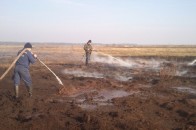 Пожежа на Волині: горить понад 2,5 гектарів торфовищ ФОТО