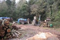 Чим волинські лісівники допомагають українській армії