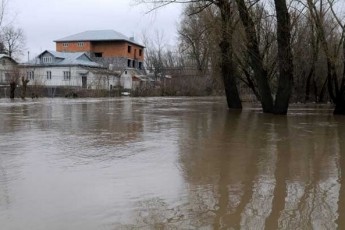 Фірма, яку пов’язують з Колісником, відсудила державні гроші