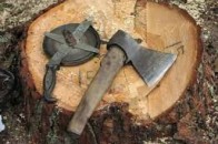 Волинянину за зрізані дерева «світить» кримінал