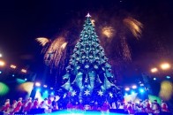 Коли засвітять головну ялинку Луцька