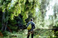 Невідомі на Волині побили лісівників