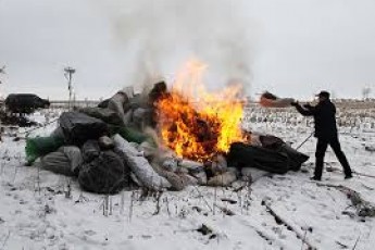 На Волині спалили наркотиків майже на 500 тисяч доларів