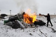 На Волині спалили наркотиків майже на 500 тисяч доларів