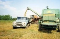 «Колгоспи» нового покоління можуть з’явитись на Волині