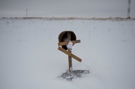 Число жертв війни на Донбасі наближається до п'яти тисяч, - ООН ВІДЕО