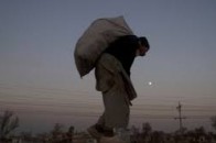На Волині крадуть збіжжя
