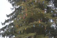 У Луцьку засвітили патріотичну екоялинку ФОТО