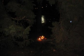 На Театральному майдані Луцька ледь не спопелили ялинки ФОТО