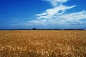 На Волині продовжують роздавати землю