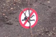 Бійці АТО знищили диверсійну групу і взяли полонених ВІДЕО