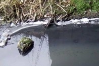 «Ківерціводоканал» відхрещується від неякісної води ДОКУМЕНТ
