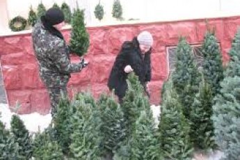 У Луцьку значно поменшало новорічних ялинок
