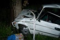Аварія на Волині: легковик влетів у дерево, водій - у реанімації