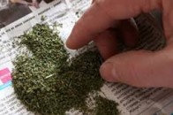 У Луцьку посеред вулиці затримали молодика з наркотиками