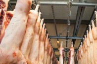 Україна планує почати поставки м’яса і молочних продуктів до ЄС вже в 2015 році