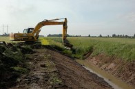 Меліорація по-волинськи. Як всихають мільйони