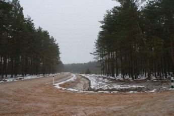 Як на Волині розвивається будівництво лісових доріг