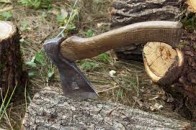 На Волині затримали підпільного лісоруба