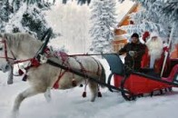 Лучани зможуть орендувати великі сани