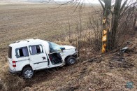На Волині авто злетіло у кювет ВІДЕО