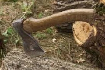На Волині спіймали підпільних лісорубів