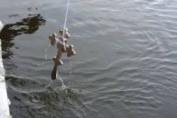 Теремнівські ставки Луцька освятили Іорданськими водами