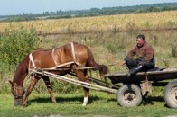 На Волині обіцяють повну підримку програм для селян