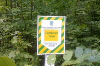 На фінансування природного парку на Волині треба 8 мільйонів гривень