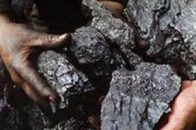 Що потрібно зробити, щоб не зникло «чорне золото» Волині