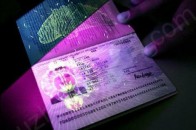 Як у Луцьку отримують біометричні паспорти: ціни, черги та бійки