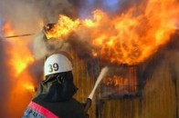 У лісгоспі Волині сталася пожежа