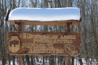 Екс-керівник Звірівського лісництва хоче через суд повернутися на посаду