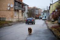 Лучани виступили проти перейменування вулиці Галшки Гулевичівни ФОТО