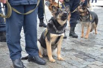 Міліціянти навчать лучан патрулювати вулиці