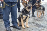 Міліціянти навчать лучан патрулювати вулиці