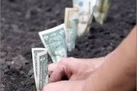 Підприємець з Волині заборгував за землю 11,5 тисяч гривень