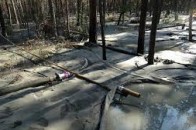 Волинські лісівники кажуть, що з бурштинокопачами самотужки не впоратися