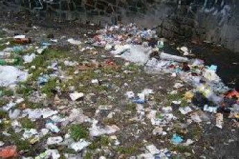 У Ковелі сформують бригади для боротьби з «сміттєвими» нехлюями