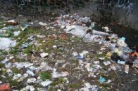 У Ковелі сформують бригади для боротьби з «сміттєвими» нехлюями