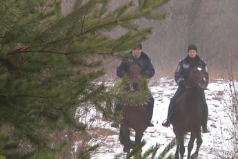 Волинські лісівники вийдуть на патруль
