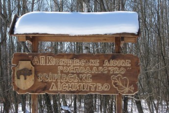 Гунчик відповів на запит депутатів щодо повернення мисливських угідь держлісгоспам