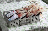 Волинські правоохоронці «добавили» крові для військових на Сході ФОТО
