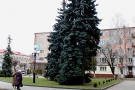 Які будівлі у Ковелі цьогоріч пустять з молотка