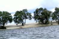 Минулоріч на Волині встановили 1606 гектарів водоохоронних зон