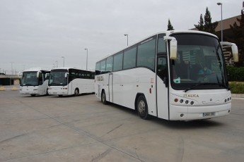 Біля Луцька службовий автобус збив насмерть працівника німецького заводу