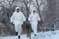 На Волині затримали банду контрабандистів з 24 пакунками сигарет