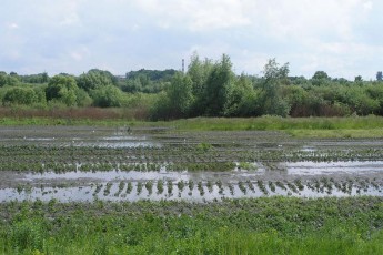 Чи загрожують Волині цьогоріч повені