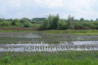 Чи загрожують Волині цьогоріч повені